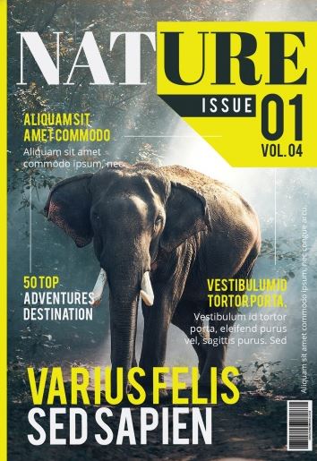 איך לעצב פליירים