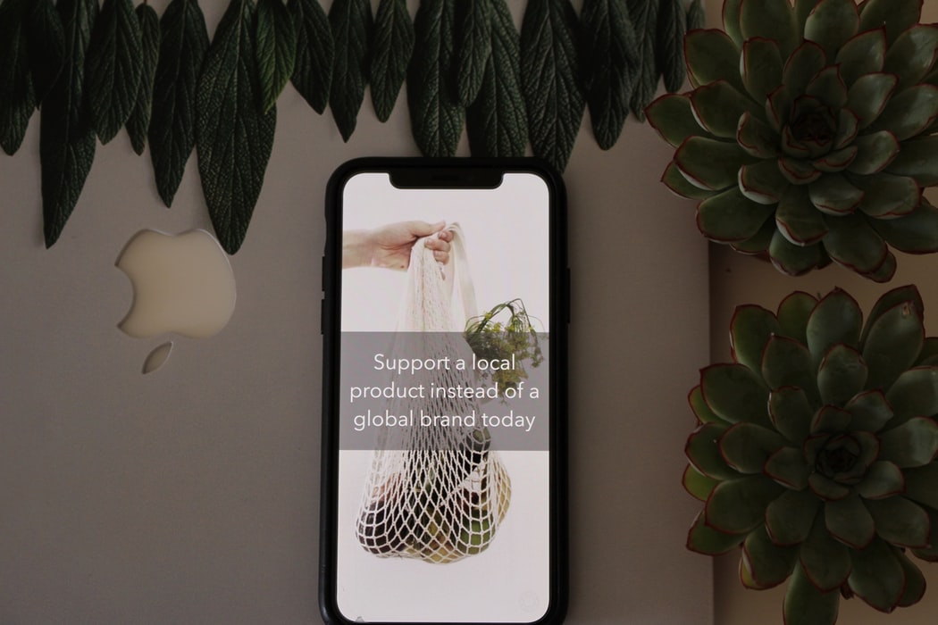 אלמנטור הגירסא החינמית אל מול גרסת הפרו בעלות