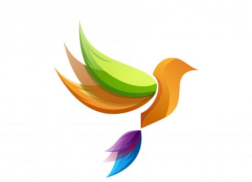 האחריות של מעצבים גראפיים מה קורה לאחר סיום בלימודים של עיצוב גרפי