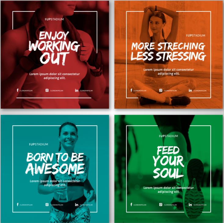 לימודי בניית אתרים