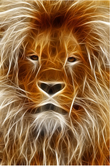 _photoshop tutorials for beginners _photoshop tutorials photo effects _מדריכים לפוטושופ _photoshop youtube