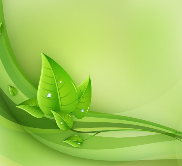 יום פתוח עיצוב גרפי