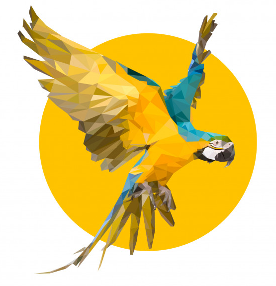 נס ציונה והמרכז ללמוד לעבוד על תוכנת העיצוב גרפי ILLUSTRATOR CC