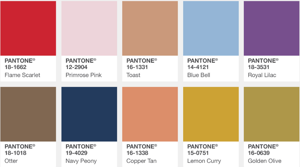 PANTONE פנטון מניפה