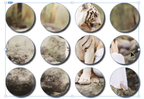 אינדיזיין אפקטים על תמונות