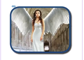 תמונה בתוך מסגרת עם פינות מעוגלות