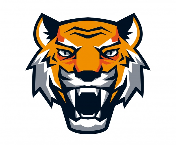 קידום ממומן ועיצוב גרפי