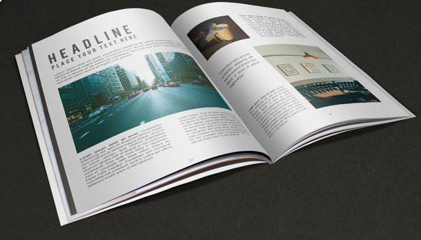 תוכנת האינדיזיין