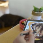 מקצועות מבוקשים בישראל לקראת 2025