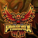 שכר גרפיקאי 2025