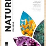 איפה הכי כדאי ללמוד תקשורת חזותית