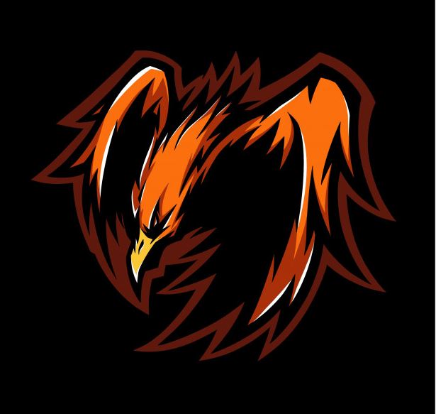 האם אוכל ללמוד עיצוב גרפי בטלפון שלי