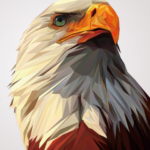 כמה כסף עולה קורס עיצוב גרפי?