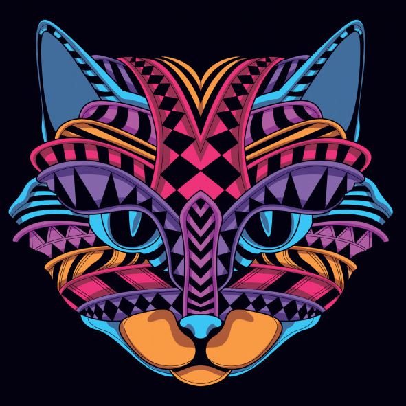 מה אפשר לעשות עם תואר ראשון בעיצוב גרפי