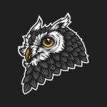 עיצוב גרפי לימודים אקדמיים