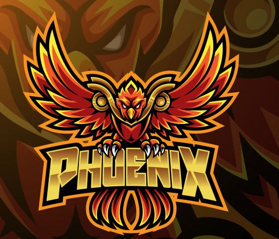 עיצוב גרפי מדריך למתחילים