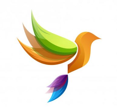 קורס עיצוב גרפי נתיבות