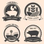 מיתוג מוצרים