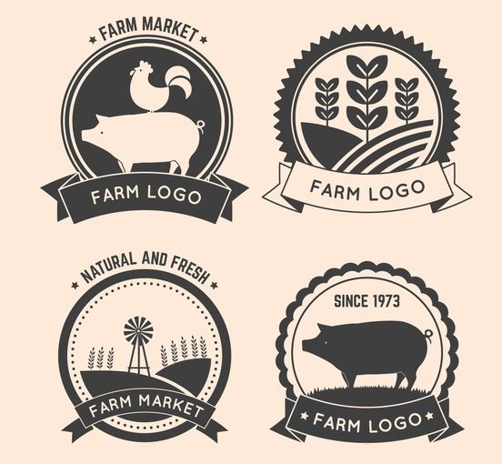 מהו מיתוג מוצר