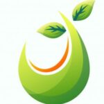 עיצוב גרפי קורסים בזום