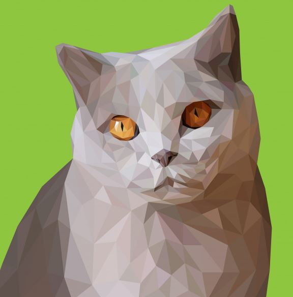 איך מציירים ציורים דיגיטליים ועושים כסף מהבית