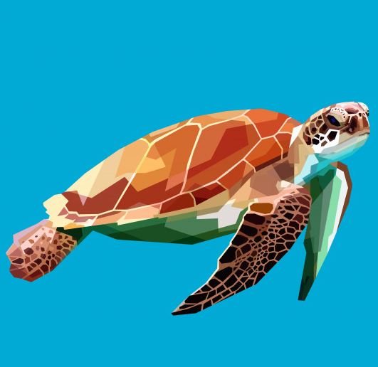 דוגמאות לאיורים דיגיטליים ב-Adobe Illustrator