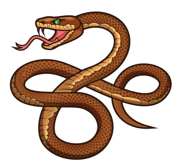 הופעתה של תוכנות מתקדמות כמו Adobe Illustrator,