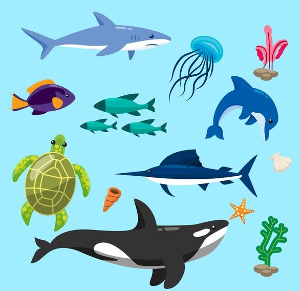 לימודים אונליין איור דיגיטלי