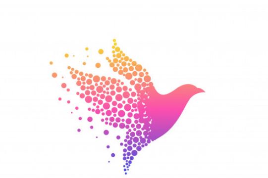 שחרר את היצירתיות שלך עם חוויית תוכנת Illustrator האולטימטיבית.