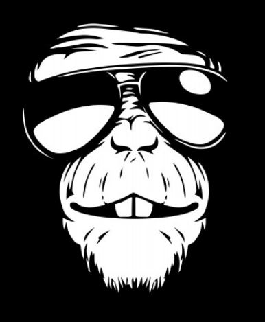 שחרר את פיקאסו הפנימי שלך גלה את סודות תוכנת הציור Adobe Illustrator