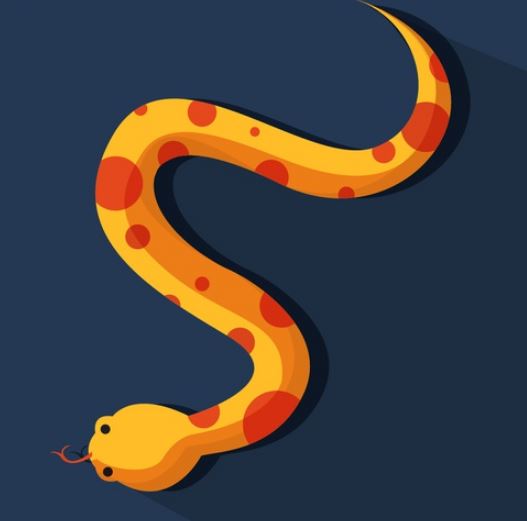 Adobe Illustrator - כלים וטכניקות שימוש בכלי עט, צורות, שיפועים Adobe Illustrator