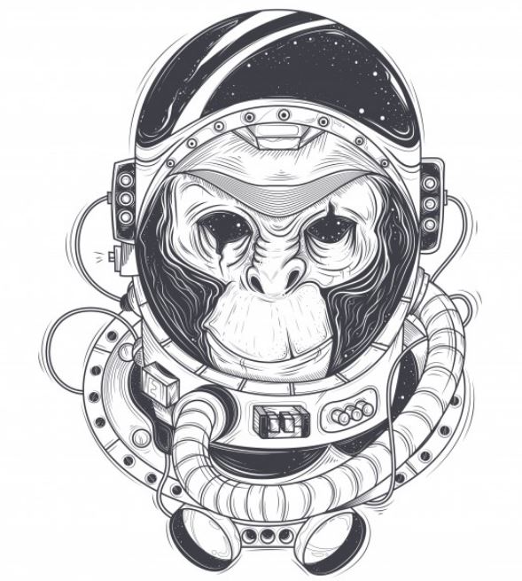 הזדמנויות קריירה למאיירים עיצוב גרפי ב-Adobe Illustrator 