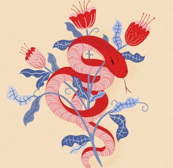 לימוד חינם כלי ציור ב-Adobe Illustrator עט, מברשת, עיפרון