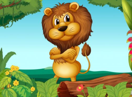 לימוד יסודות הציור ב-Adobe Illustrator תקשורת חזותית