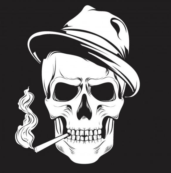 תחילת העבודה עם Adobe Illustrator